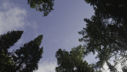 Similar image 22463566