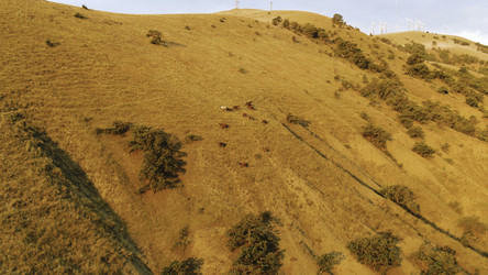 Similar image 22462084