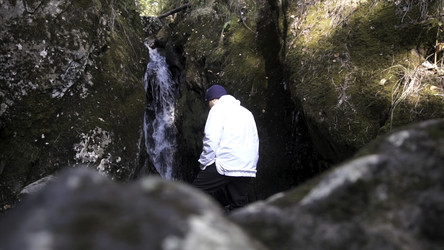 Similar image 22462101