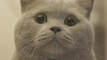 Similar image 22462161