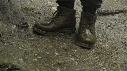 Similar image 22462264