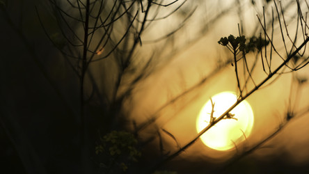 Similar image 22462369