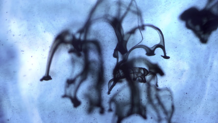 Similar image 22463899