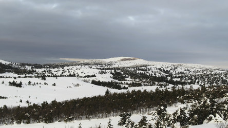 Similar image 22463957