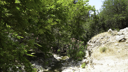 Similar image 22463974