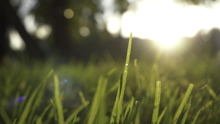 Similar image 22463990