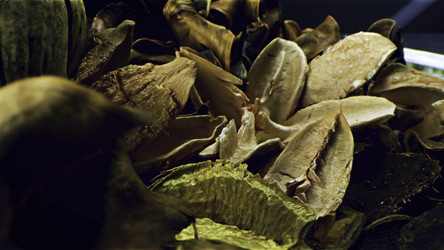 Similar image 22458315