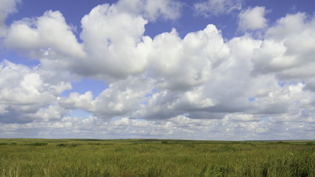 Similar image 22458330