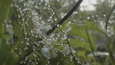 Similar image 22458358