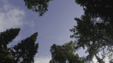 Similar image 22458359