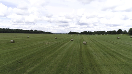 Similar image 22458450