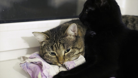 Similar image 22460142