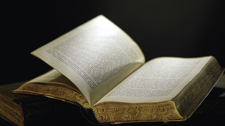 Similar image 22461936