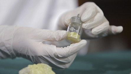 Similar image 22462190