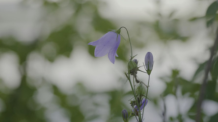 Similar image 22462205