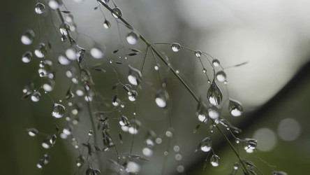 Similar image 22462265