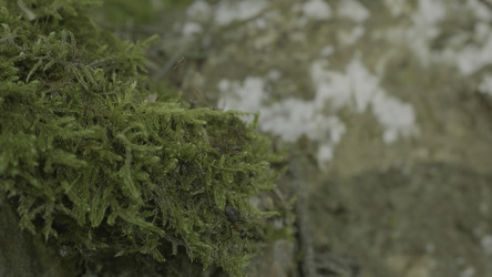 Similar image 22462279