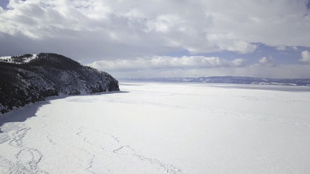 Similar image 22462401