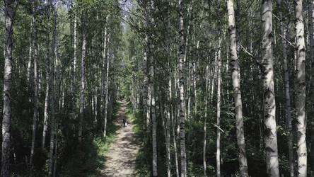 Similar image 22463750