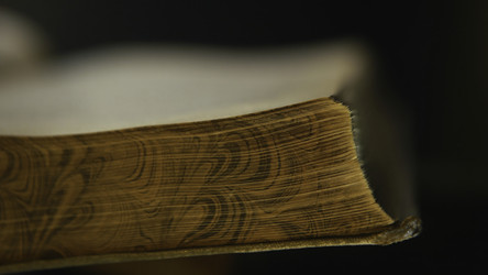 Similar image 22463886