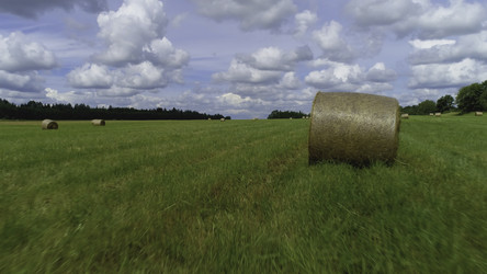 Similar image 22463945