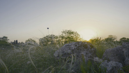 Similar image 22463992