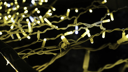 Similar image 22458243