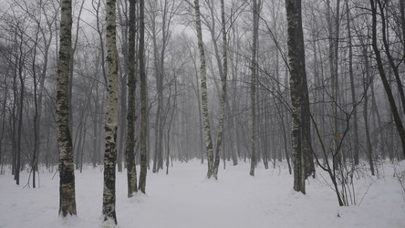 Similar image 22458301