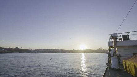 Similar image 22458331