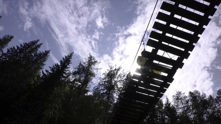 Similar image 22462435