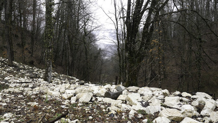 Similar image 22462460