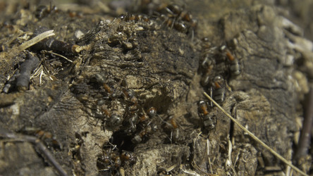 Similar image 22462777