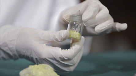 Similar image 22462790