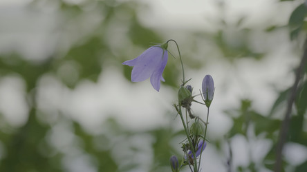 Similar image 22462806