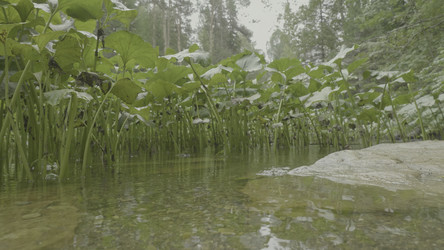 Similar image 22462837