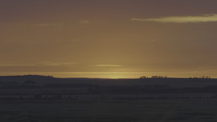 Similar image 22462851