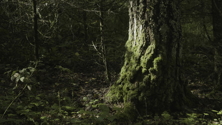 Similar image 22462879