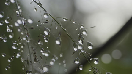 Similar image 22462896