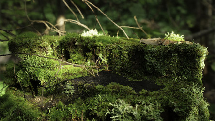 Similar image 22462924