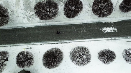 Similar image 22463058