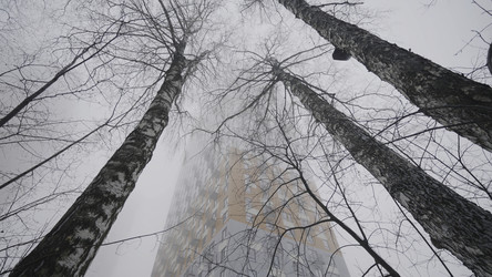 Similar image 22458333