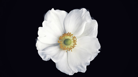 Similar image 22458839