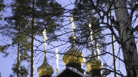 Similar image 22458903