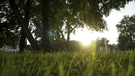 Similar image 22458934