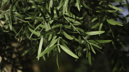 Similar image 22459531