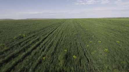 Similar image 22463541