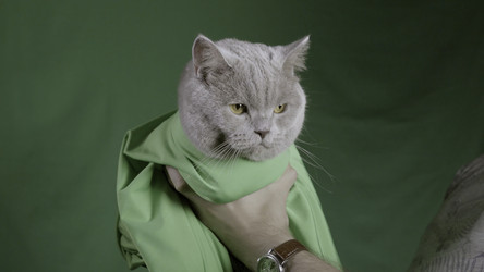 Similar image 22458439