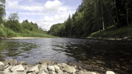 Similar image 22458828