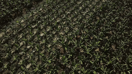 Similar image 22459565