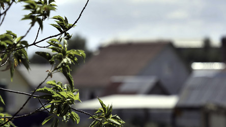 Similar image 22459935